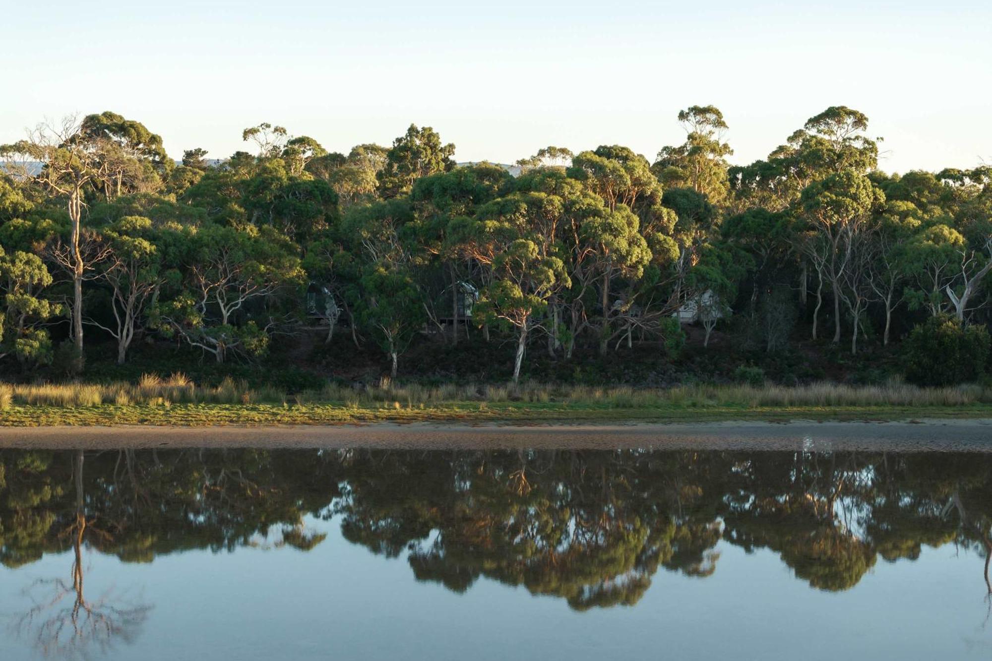 Eco Luxury - Heated - Hot Tub - Waterfront - Freycinet Villa Coles Bay Bagian luar foto